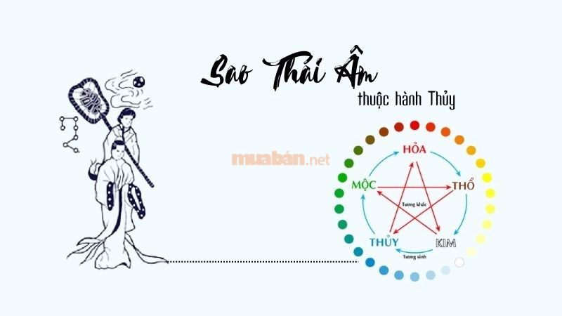 Tử vi tuổi Giáp Thìn 1964 nam mạng 2025 có sao Thái Âm chiếu mạng