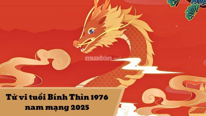 Tử vi tuổi Bính Thìn 1976 nam mạng 2025