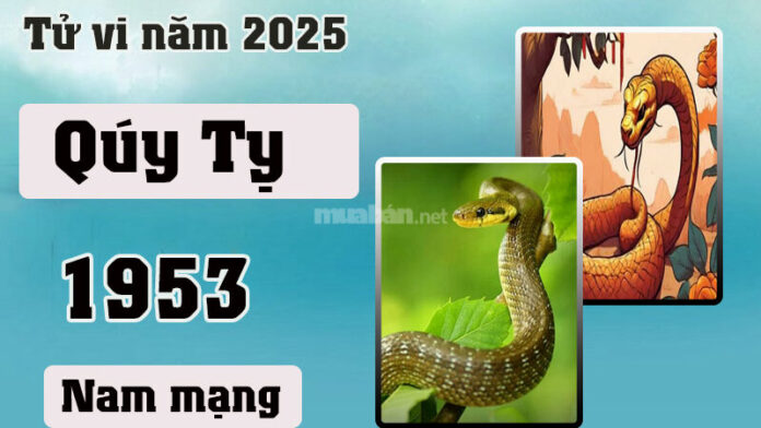 Tử vi tuổi Quý Tỵ 1953 nam mạng 2025