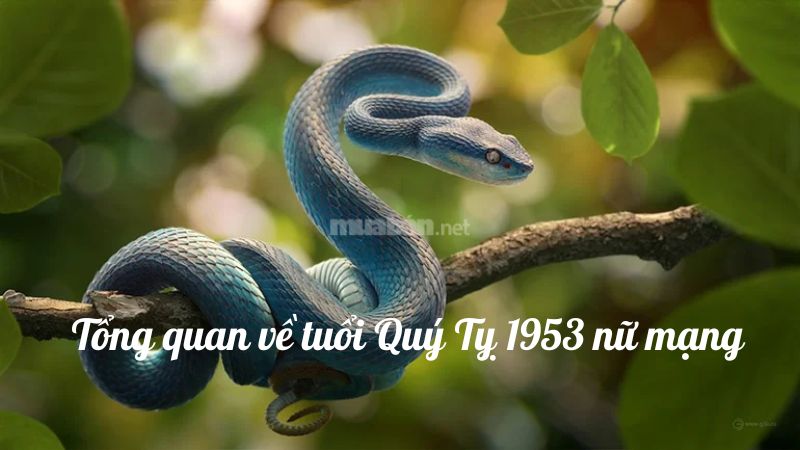 Tổng quan về tuổi Quý Tỵ 1953 nữ mạng