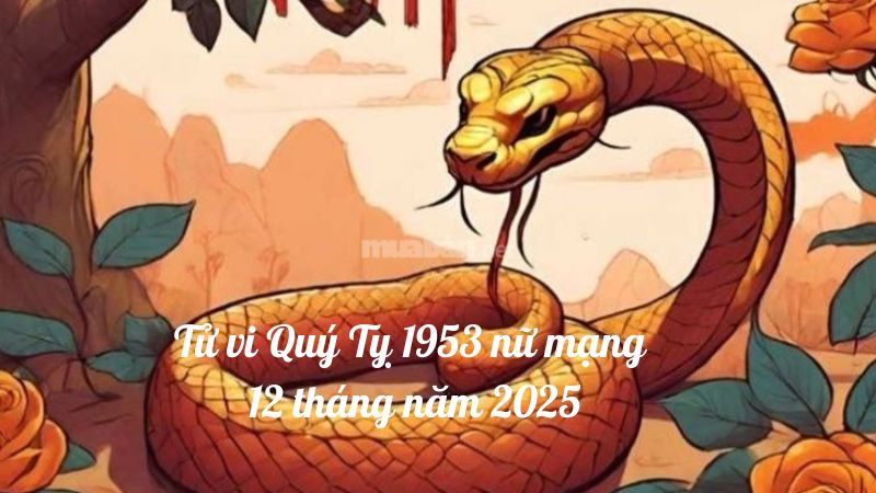 Luận giải lá số tử vi Quý Tỵ 1953 nữ mạng 12 tháng năm 2025