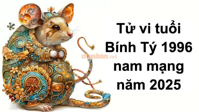 Tử vi tuổi Bính Tý 1996 nam mạng 2025 - Sự nghiệp ổn định, cẩn trọng sức khoẻ