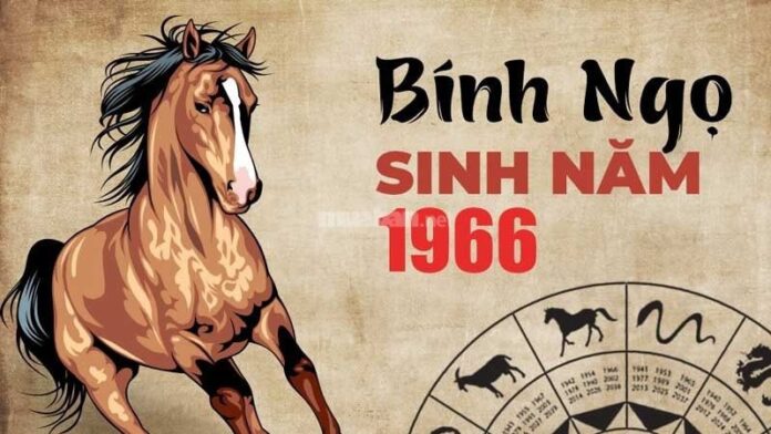 Tử vi tuổi Bính Ngọ 1966 nam mạng 2025