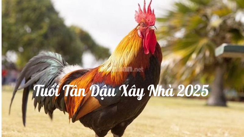 Tuổi Tân Dậu Xây Nhà Năm 2025: Cách Mượn Tuổi Làm Nhà, Hóa Giải Vận Hạn