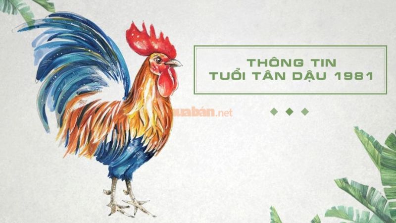 Tổng quan về tuổi Tân Dậu 1981