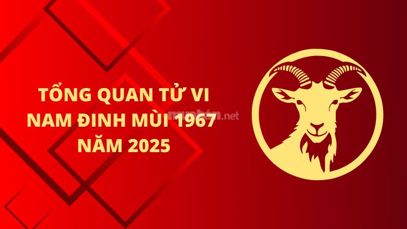 Tổng quan Tử vi tuổi Đinh Mùi 1967 nam mạng 2025.