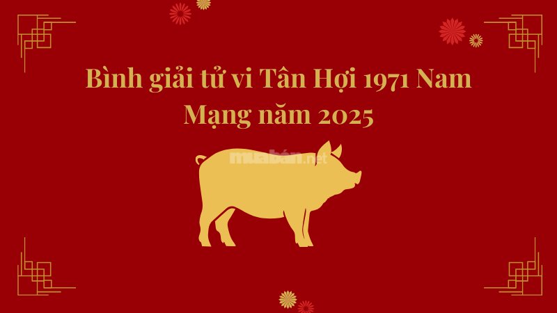 Bình giải tử vi Tân Hợi 1971 nam mạng năm 2025