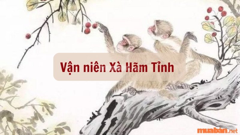 Vận niên của nam mạng tuổi Tân Hợi 1971 trong năm 2025 là Xà Hãm Tỉnh