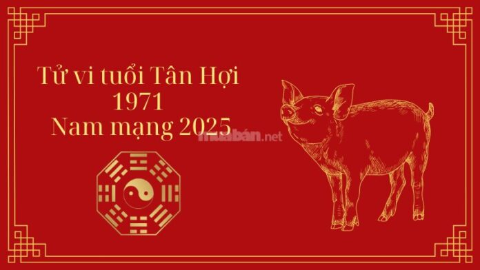 Tử vi tuổi Tân Hợi 1971 Nam mạng 2025