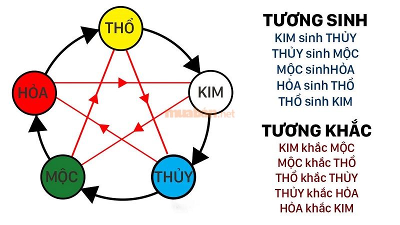 Xét theo ngũ hành thì Nhâm Tuất 1982 tương khắc với Ất Tỵ 2025