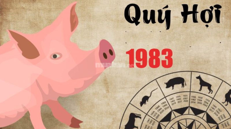 Luận giải lá số tử vi tuổi Quý Hợi 1983 nam mạng 2025 trong 12 tháng 