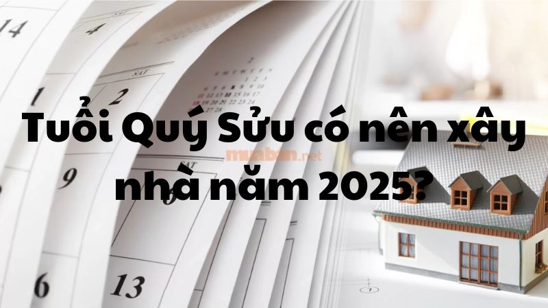 Tuổi Quý Sửu 1973 có nên làm nhà năm 2025 không?