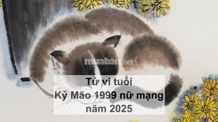 Tử vi tuổi Kỷ Mão 1999 nữ mạng 2025 - Cẩn trọng sức khoẻ