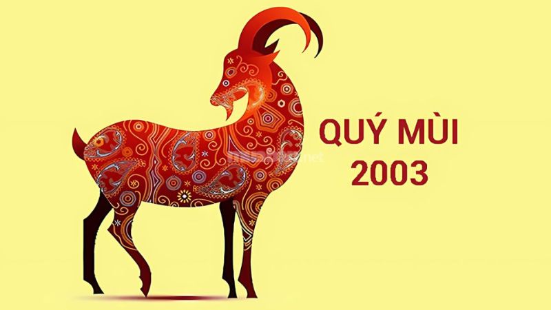 Luận giải chi tiết tử vi tuổi Quý Mùi 2003 nam mạng 2025