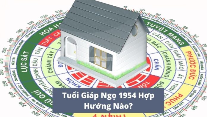 Tuổi Giáp Ngọ 1954 Hợp Hướng Nào?