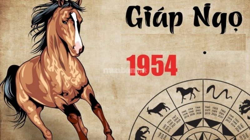 Tổng quan về tuổi Giáp Ngọ 1954.