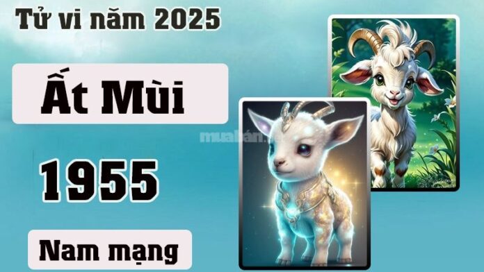 Tử vi tuổi Ất Mùi 1955 nam mạng 2025