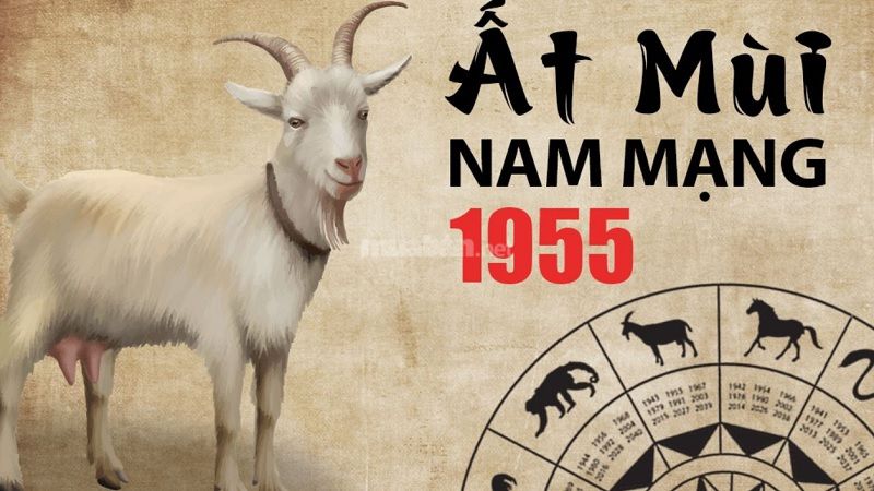 Tử vi tuổi Ất Mùi 1955 nam mạng 2025