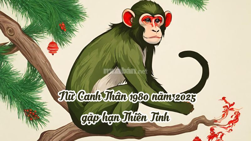 Năm 2025 nữ mạng Canh Thân 1980 gặp hạn Thiên Tinh