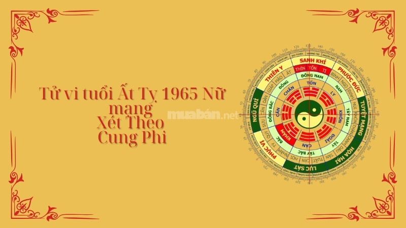 Tử vi Ất Tỵ 1965 nữ mạng năm 2025 xét theo Cung Phi