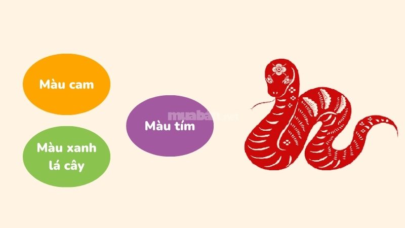 Màu sắc may mắn năm 2025 của tuổi Tỵ