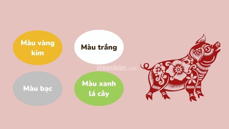 Màu sắc may mắn năm 2025 của tuổi Hợi