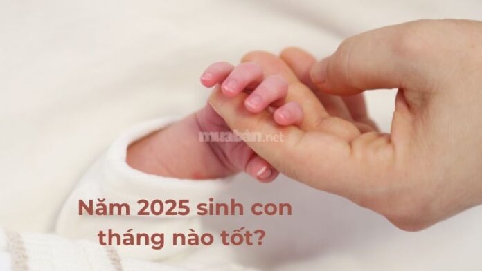 Năm 2025 sinh con tháng nào tốt? Đặc điểm tính cách và hợp bố mẹ tuổi nào?