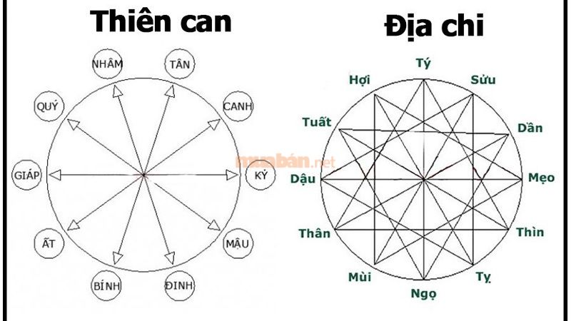 Thiên can Canh thuộc Kim có mối quan hệ tương hợp khi gặp can Ất thuộc Mộc