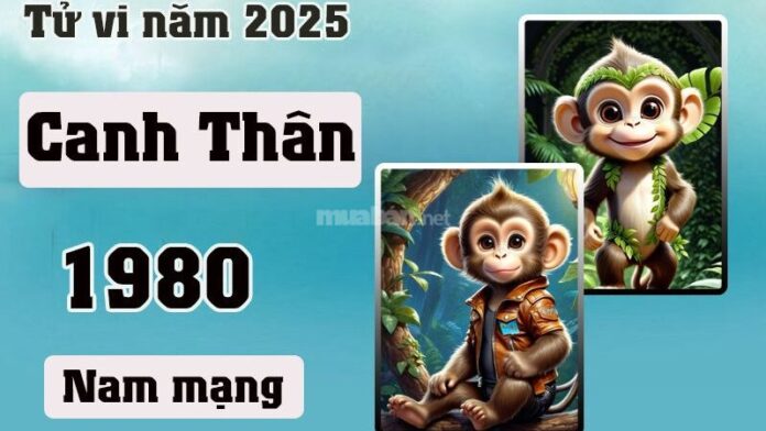 Tử vi tuổi Canh Thân 1980 nam mạng 2025