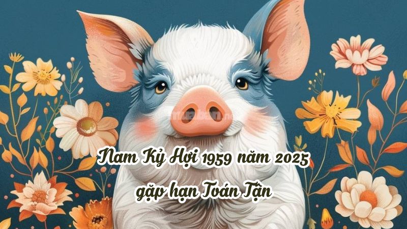 Năm 2025 nam mạng Kỷ Hợi 1959 gặp hạn Toán Tận