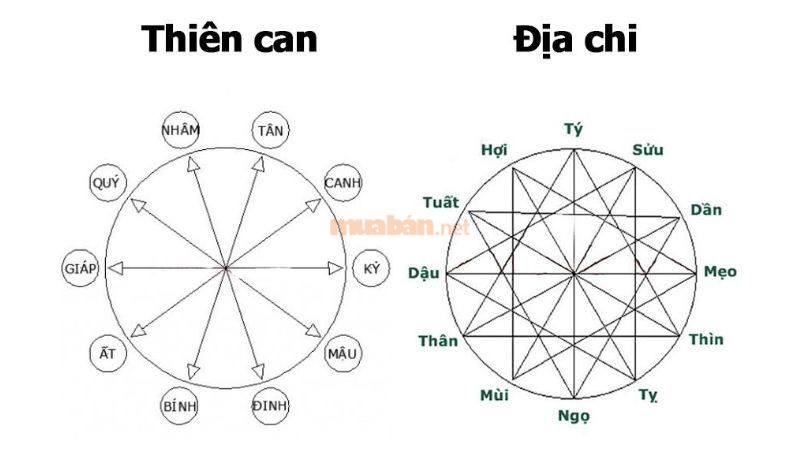 Thiên can Ẩt thuộc Mộc (Ất Tỵ 2025) tương khắc với ngũ hành Kỷ thuộcThổ (Kỷ Dậu 1969)