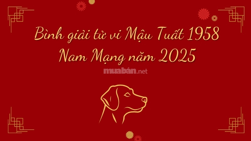 Bình giải tử vi Mậu Tuất 1958 Nam Mạng năm 2025