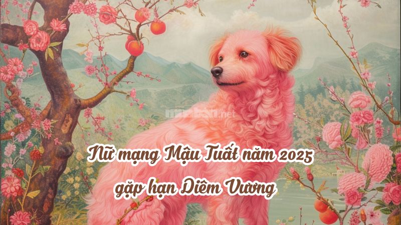 Năm Ất Tỵ tuổi Mậu Tuất nữ mạng gặp hạn Diêm Vương