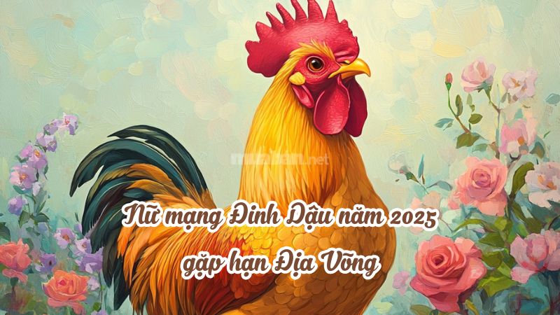 Năm Ất Tỵ, nữ mạng Đinh Dậu gặp hạn ĐỊa Võng