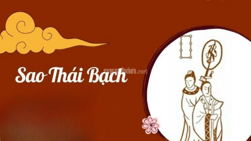 Sao chiếu mệnh là Sao Thái Bạch