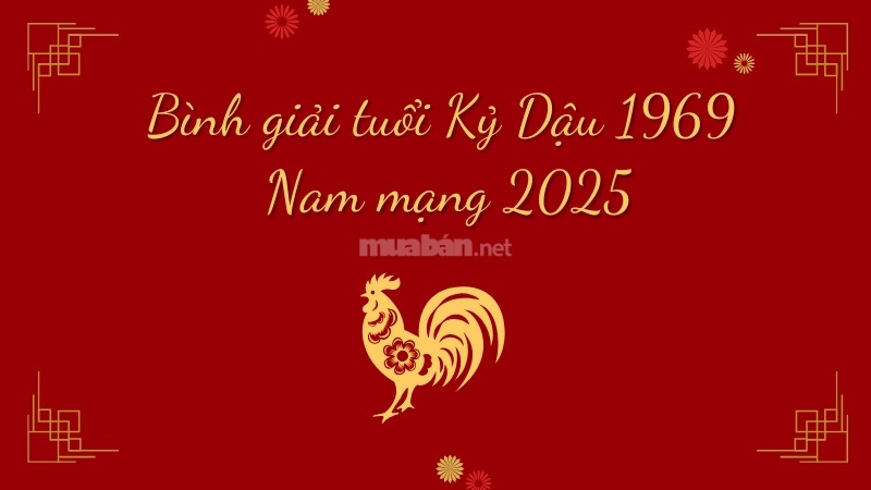 Bình giải tử vi tuổi Kỷ Dậu 1969 nam mạng 2025