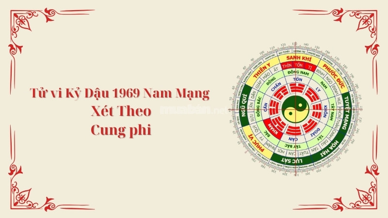 Tử vi tuổi Kỷ Dậu 1969 nam mạng 2025 xét theo Cung Phi