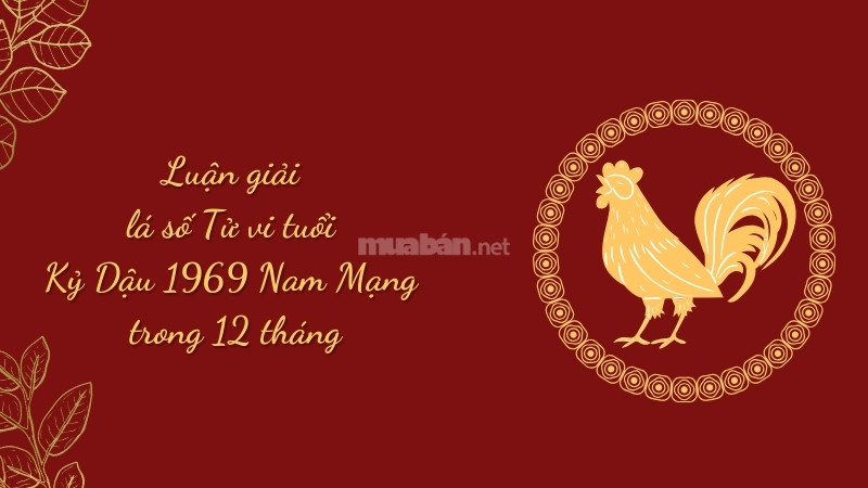 Luận giải lá số tử vi tuổi Kỷ Dậu 1969 nam mạng 2025 theo 12 tháng