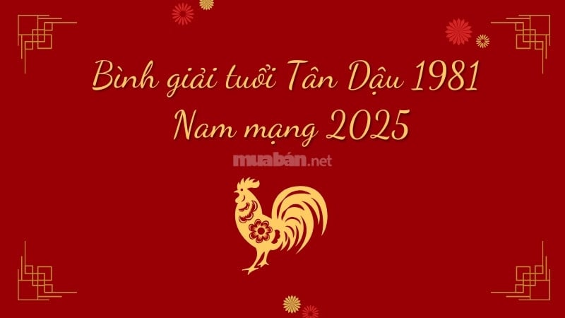 Bình giải tử vi tuổi Tân Dậu nam mạng 2025