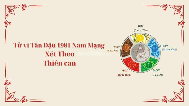 Tử vi tuổi Tân Dậu 1981 nam mạng 2025 xét theo Thiên Can