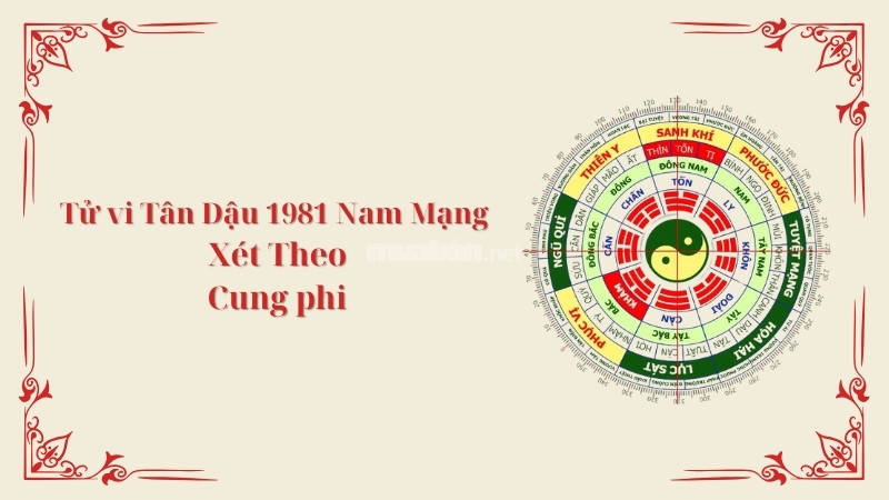 Tử vi tuổi Tân Dậu 1981 nam mạng 2025 xét theo Cung Phi