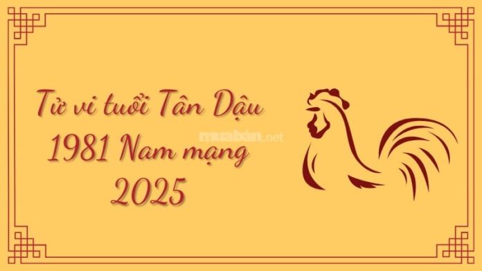 Tử vi tuổi Tân Dậu 1981 nam mạng 2025