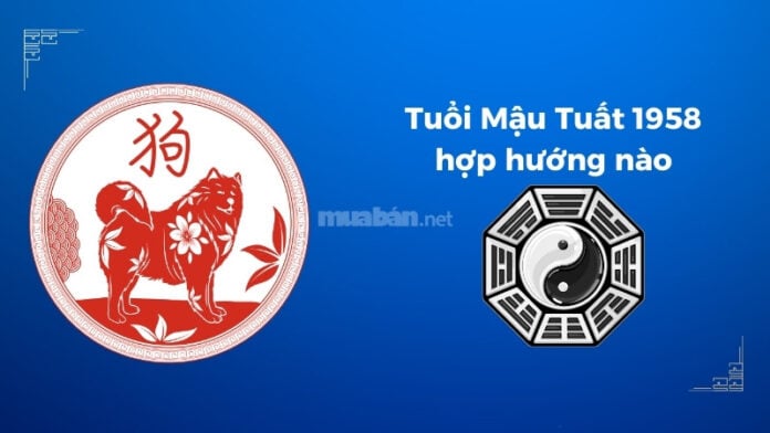 Tuổi Mậu Tuất 1958 hợp hướng nào?