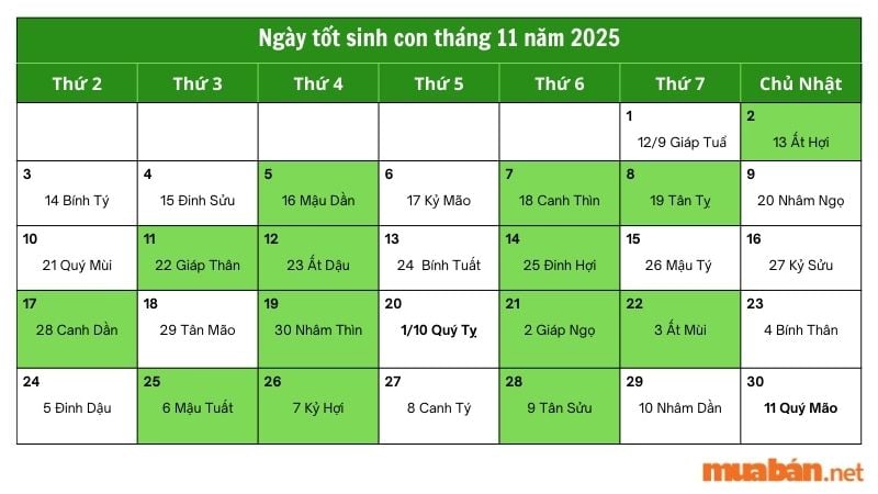 Bảng ngày tốt sinh con tháng 11 năm 2025