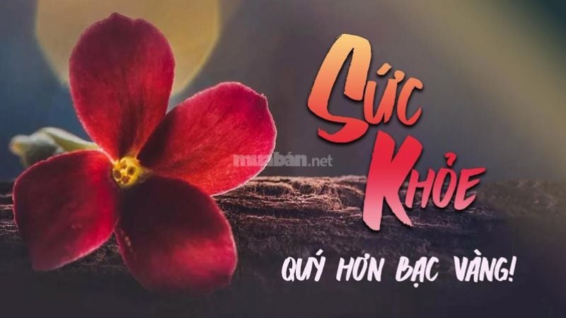 Câu nói hay về sức khỏe