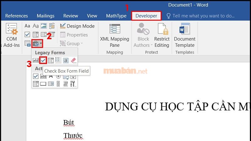 Sử dụng Developer để chèn ô checkbox