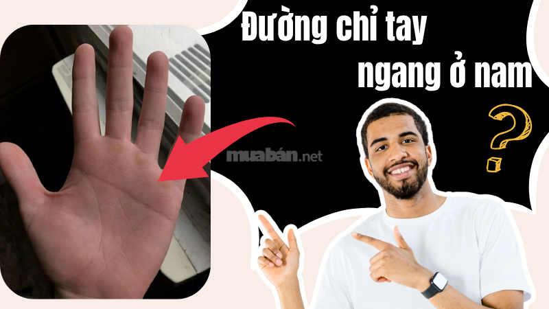 Đường chỉ tay ngang ở nam giới: Giải mã ý nghĩa trên từng bàn tay Đường chỉ tay ngang ở nam