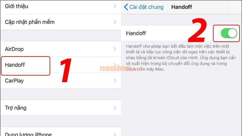 Bật chế độ Handoff lên