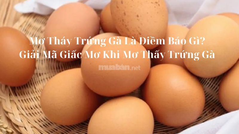 Mơ thấy trứng gà là điềm báo gì? Giải mã giấc mơ khi mơ thấy trứng gà