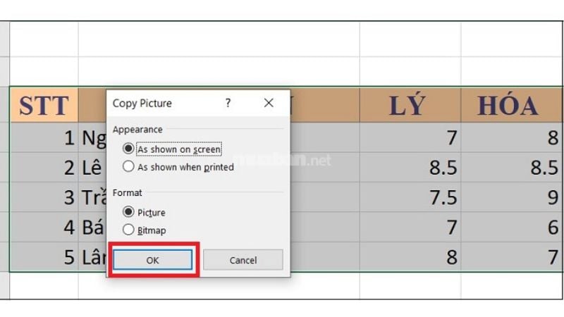 Nhấn OK để sao chép dữ liệu dưới dạng hình ảnh